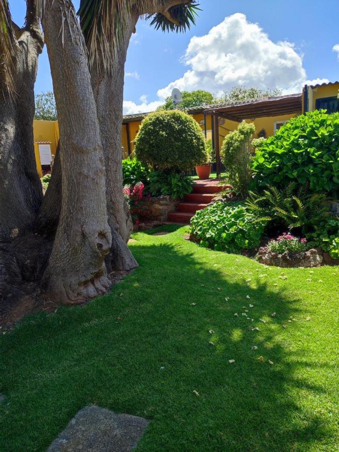 טקורונטה La Chimenea Verde מראה חיצוני תמונה